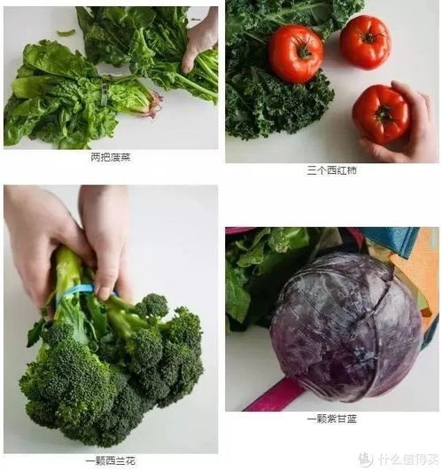 下一次抢菜前,你搞清楚青菜有几种了吗 防身用的蔬菜整理 冰箱收纳全攻略