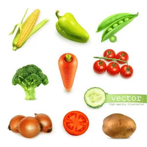 新鲜蔬菜矢量 食物参考