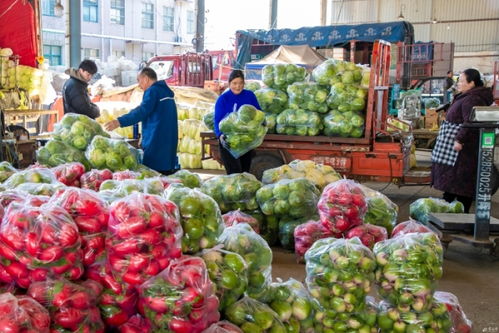 宿豫 农产品供销两旺