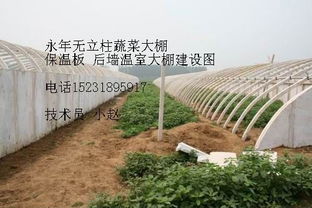 产品图679