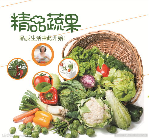 精品蔬菜 新鲜蔬菜 超市海报设计图 psd分层素材 psd分层素材