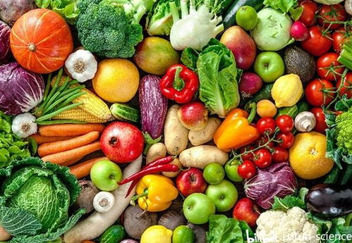 贮藏对蔬菜质地的演变及其在农副产品收购中的影响