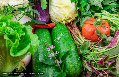 蔬菜之美 中国菜系中的艺术与餐饮摄影素材
