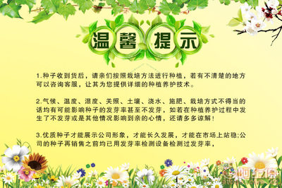 剪秋园艺厂家直销蔬菜草籽 白豌豆与青豌豆，家庭阳台种植的理想选择