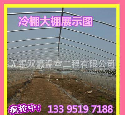 单体温室大棚 山东地区蔬菜种植的高效解决方案