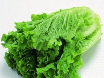 广州市场大米、农副产品批发与大型蔬菜配送公司的全方位解析