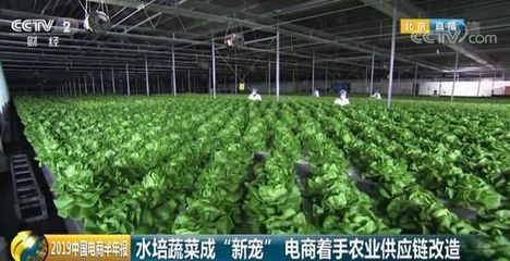618购物节揭示消费新趋势 90后转向假发，00后拥抱抗衰老与蔬菜