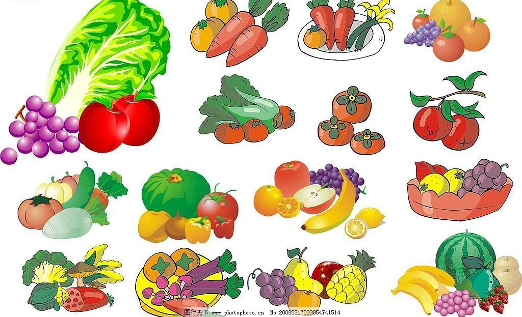 蔬菜之韵 从田园到餐桌的视觉盛宴