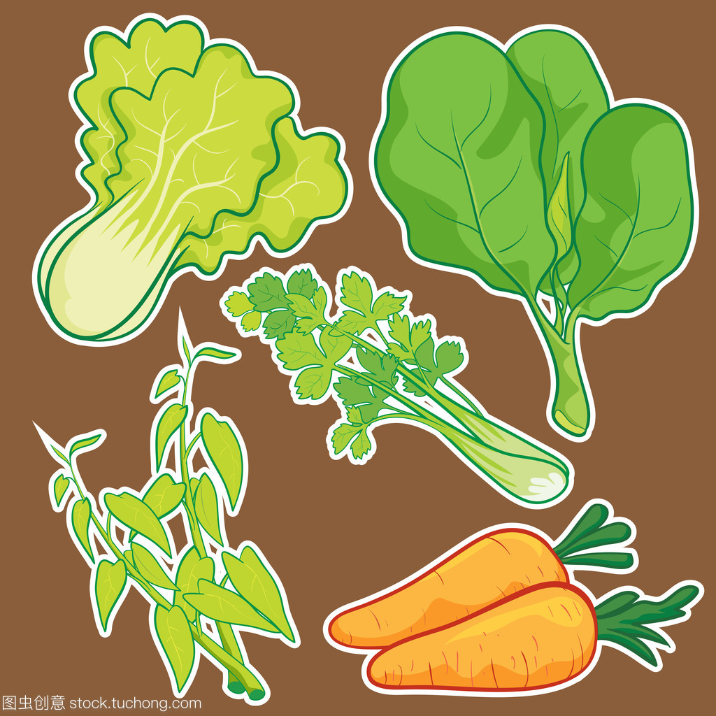 可爱的蔬菜集 农副产品收购的温馨画卷