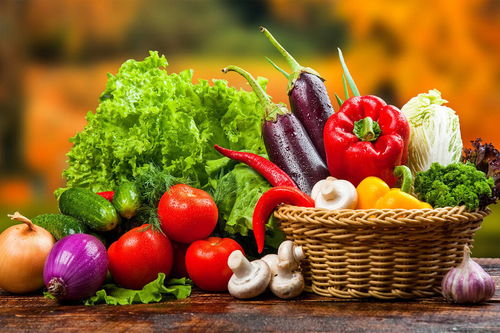 搜了宝 让每一天都吃出健康，开启农副产品收购新篇章