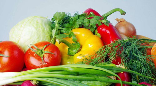 鲜灵灵，水嫩嫩——哪些蔬菜最适宜现摘现吃